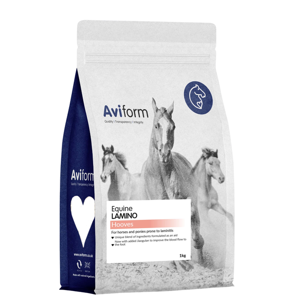 Lamino | For Horses
