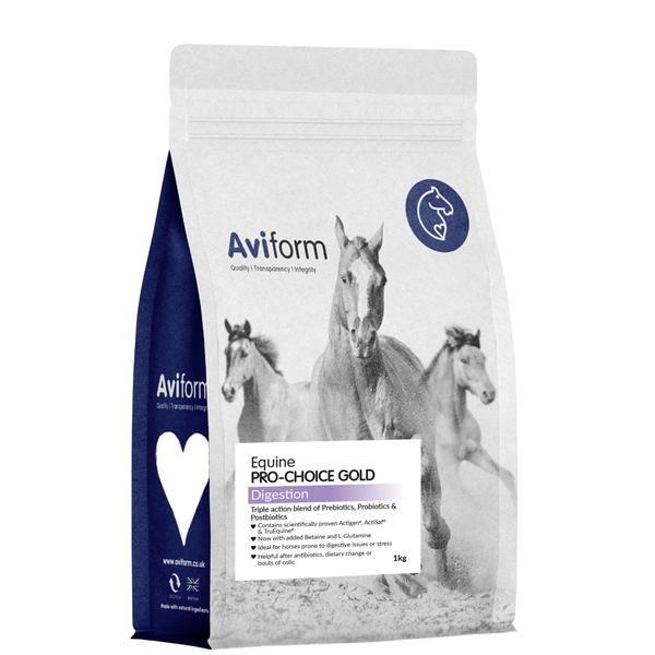 Pro-Choice Gold | Triple Synergy Equine Digestive & Health Supplement