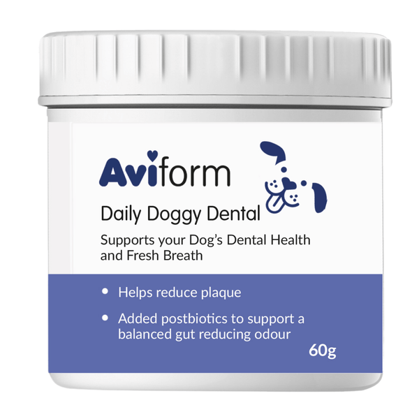 Daily Doggy Dental | Canine Oral Care