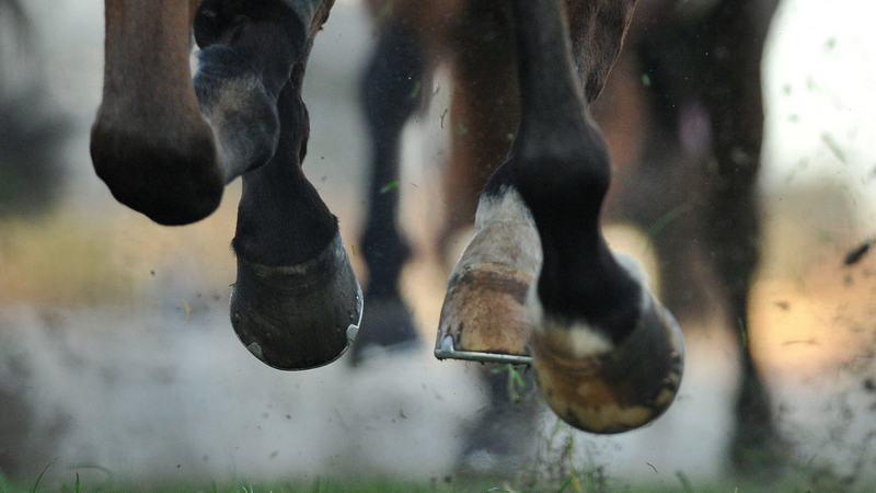 Supports strong, healthy hoof growth