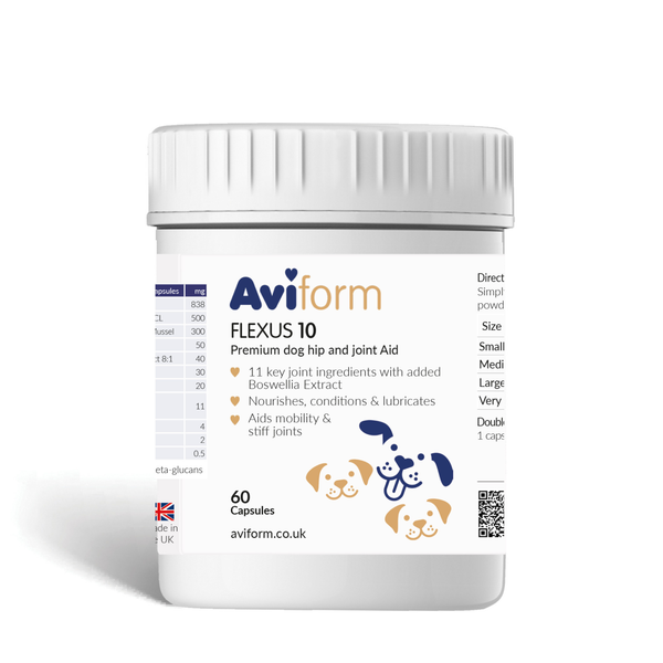 Flexus 10 | Premium Hip and Joint Supplement for Dogs