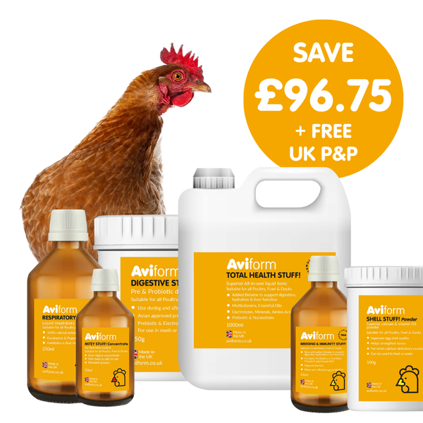 Flock Wellness Pack | Multipack for Chickens
