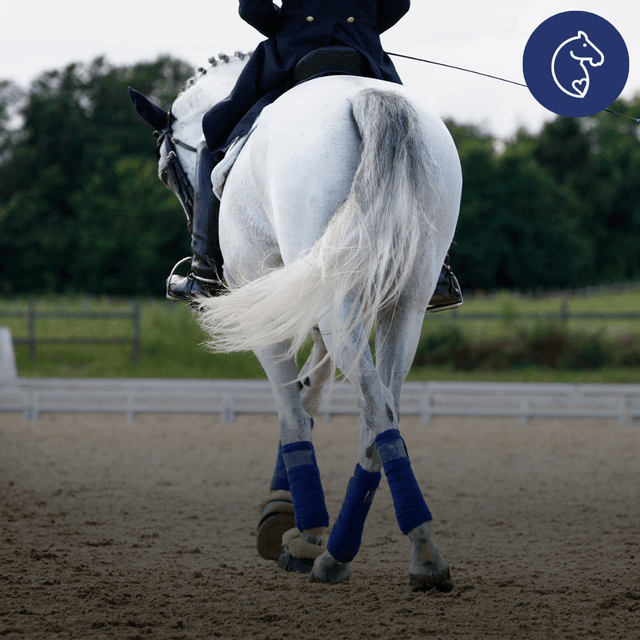 Why Does My Horse Have Loose Droppings? Common Causes and Natural Remedies