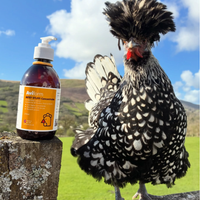 Mitey Stuff! Red Mite Liquid Supplement for Chickens