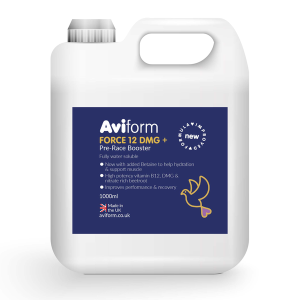 FORCE 12 + DMG Pre Race Booster for Racing Pigeons