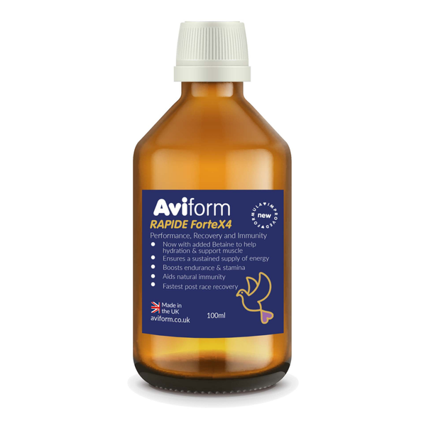 RAPIDE ForteX4 Stamina, Endurance, Recovery and Immunity Supplement for Racing Pigeons