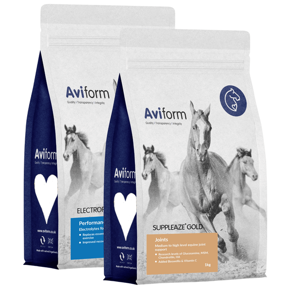 Horse Joint & Hydration Performance Bundle