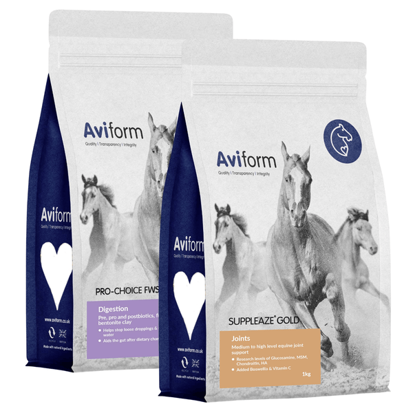 Horse Joint & Gut Bundle