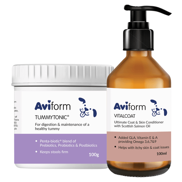 Allergy & Itch Bundle for Dogs | Small