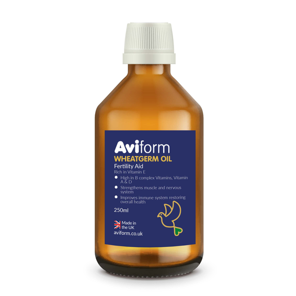 WHEATGERM OIL For Racing Pigeons