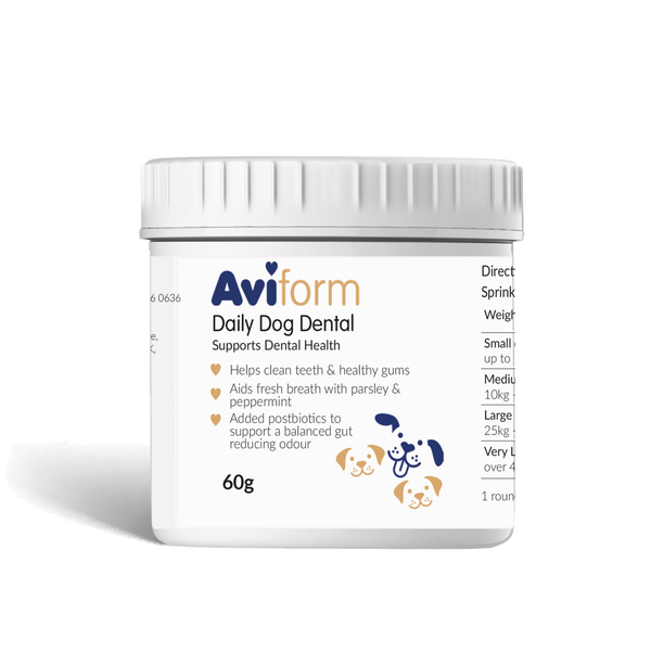 Daily Doggy Dental | Canine Oral Care