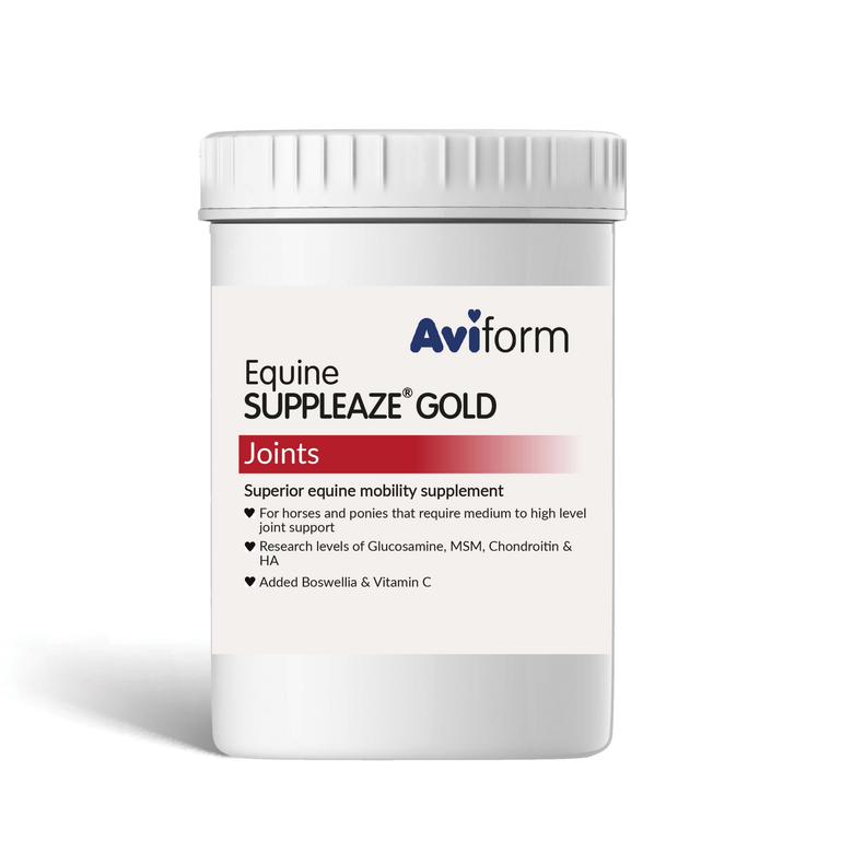 Aviform Suppleaze Gold horse joint supplement