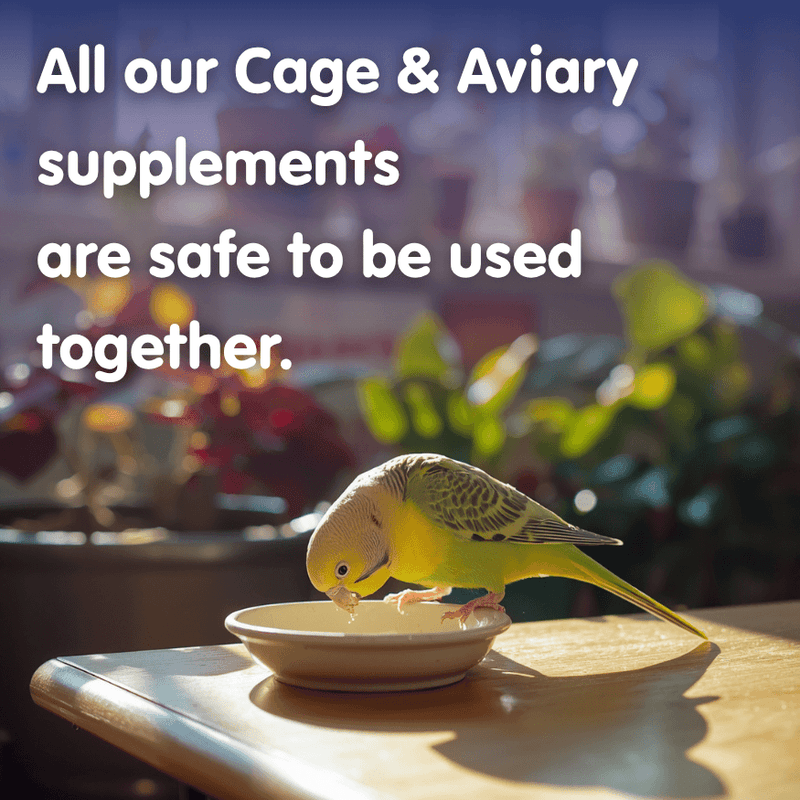 AVI-MITE Cage and Aviary Bird Red Mite Supplement