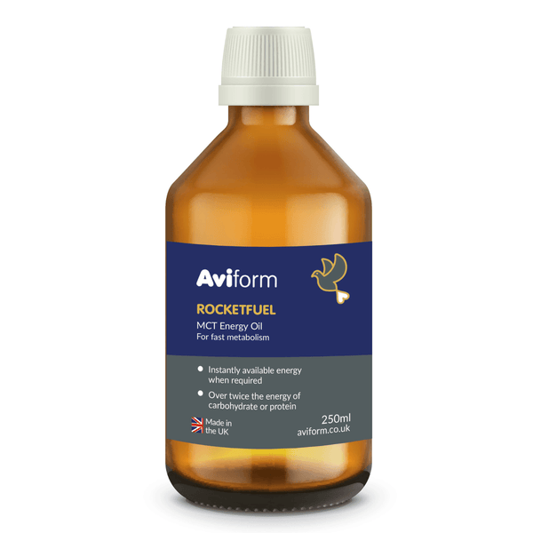 ROCKETFUEL MCT Energy Oil for Racing Pigeons