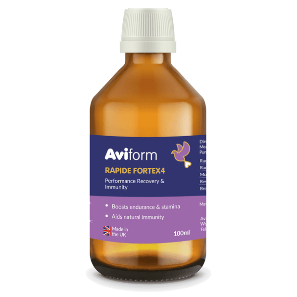 RAPIDE ForteX4 Stamina, Endurance, Recovery and Immunity Supplement for Racing Pigeons