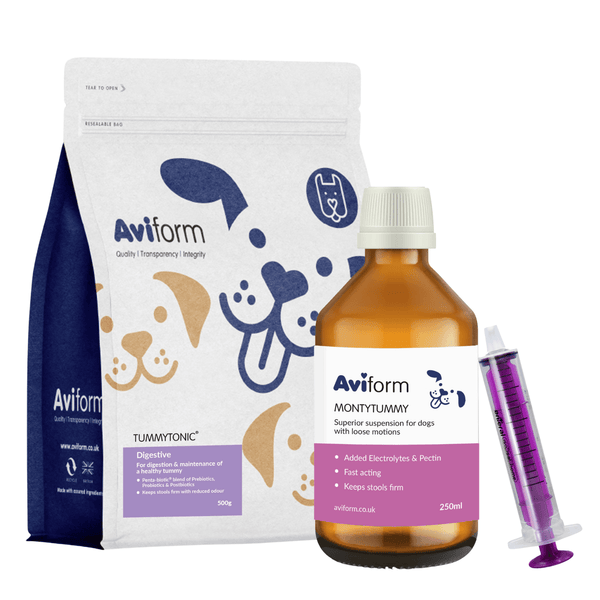 Dog Digestion Pack | Medium | Montytummy & Tummytonic