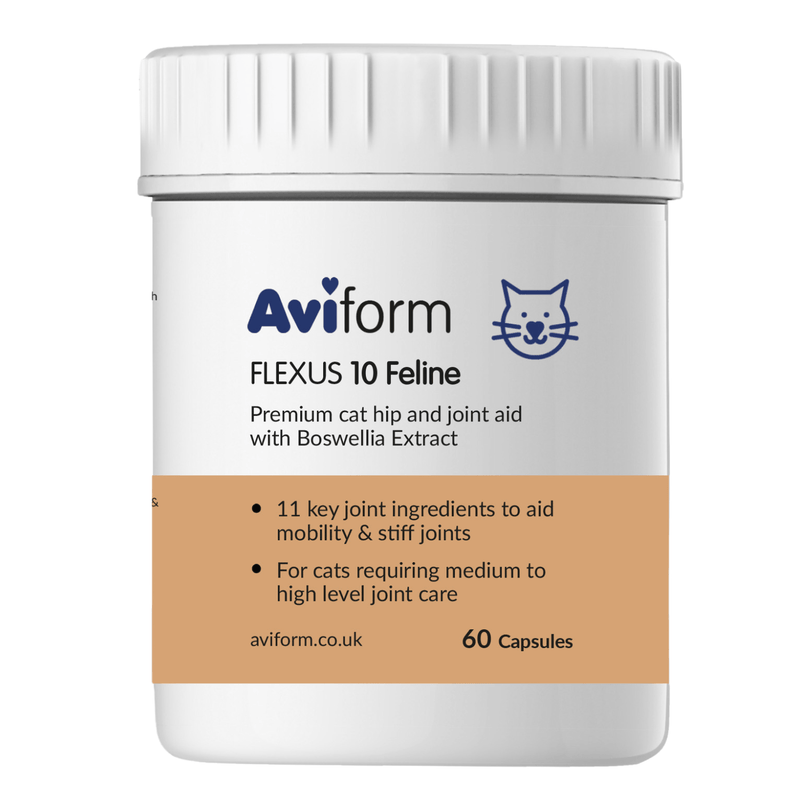 FLEXUS 10 Feline Premium Cat Joint Supplement