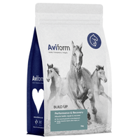 Build Up | Equine Muscle Builder