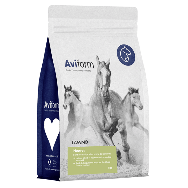 Lamino | For Horses
