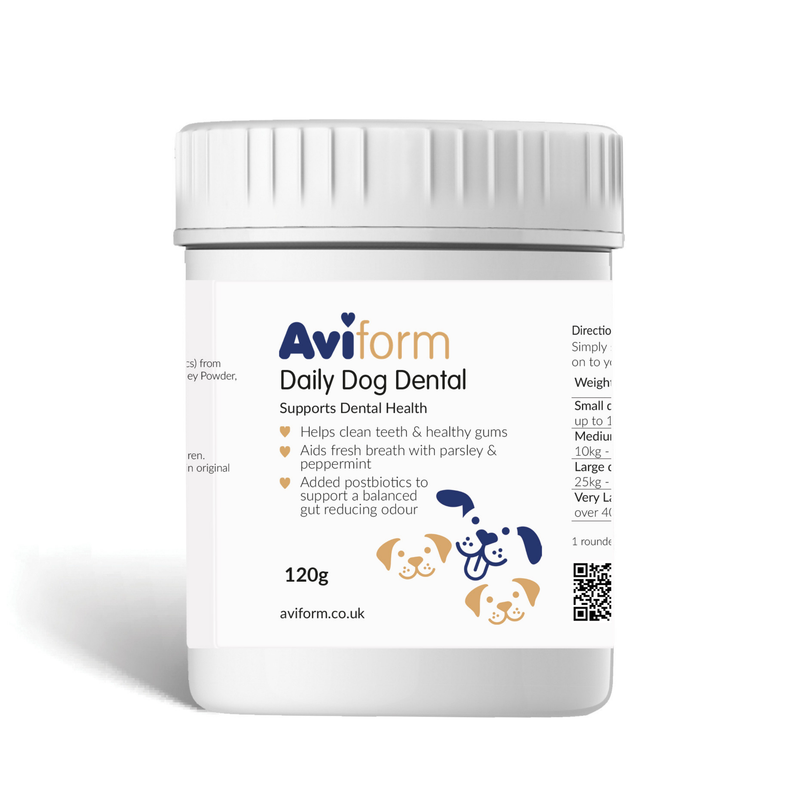 Daily Doggy Dental | Canine Oral Care