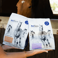 Horse Joint & Gut Bundle