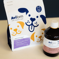 Allergy & Itch Bundle for Dogs | Medium