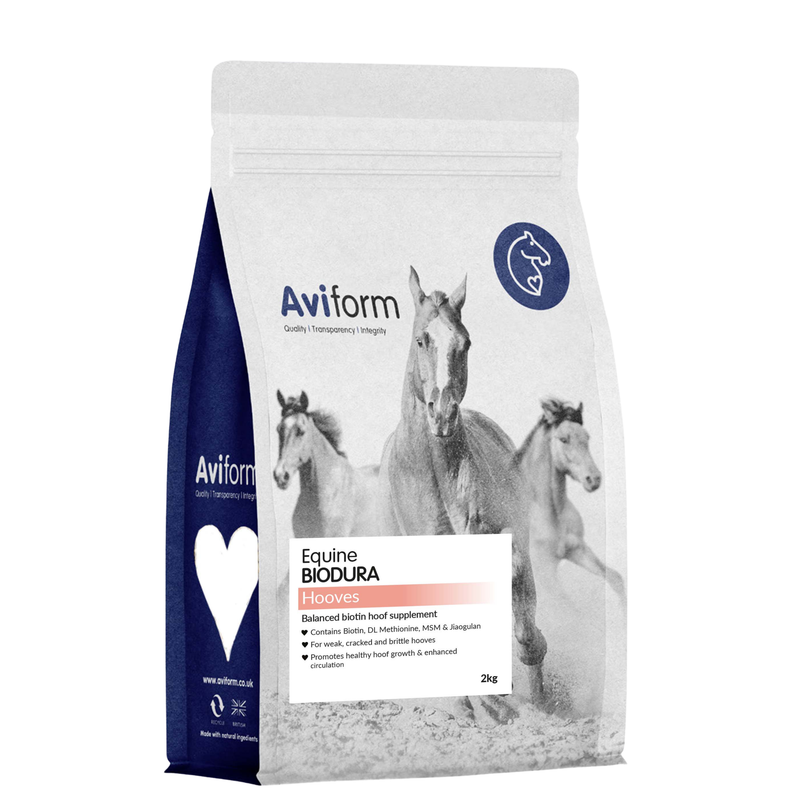 Biodura | Biotin Hoof Supplement for Horses