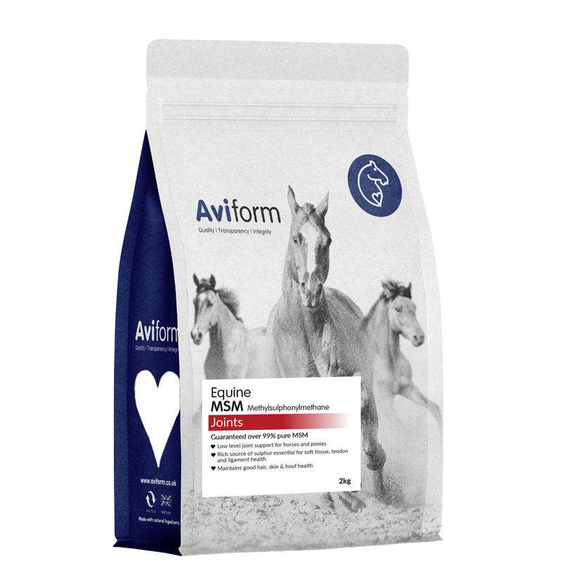 MSM | Pure Joint Care Supplement for Horses