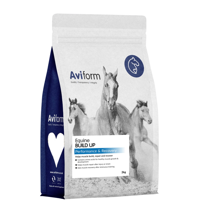 Build Up | Equine Muscle Builder