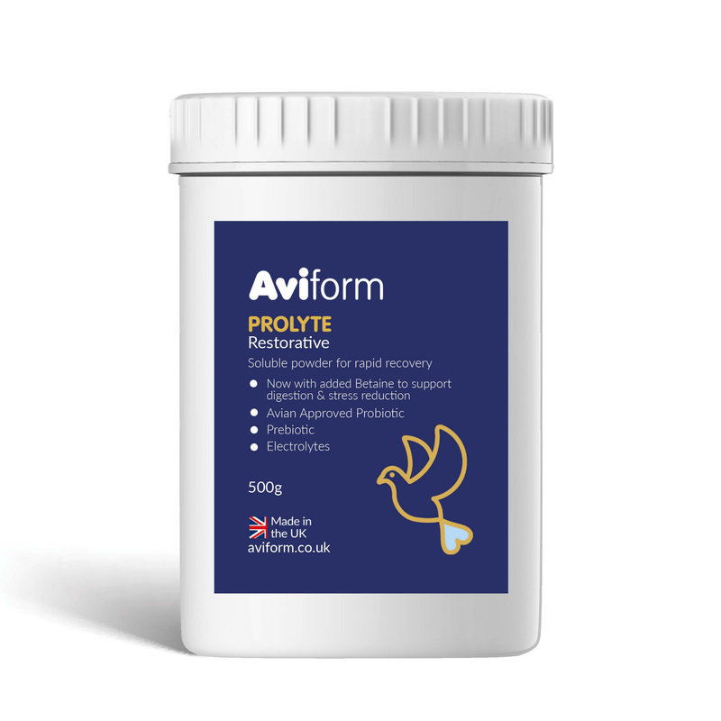 PROLYTE Probiotic Post Race Restorative Supplement for Racing Pigeons