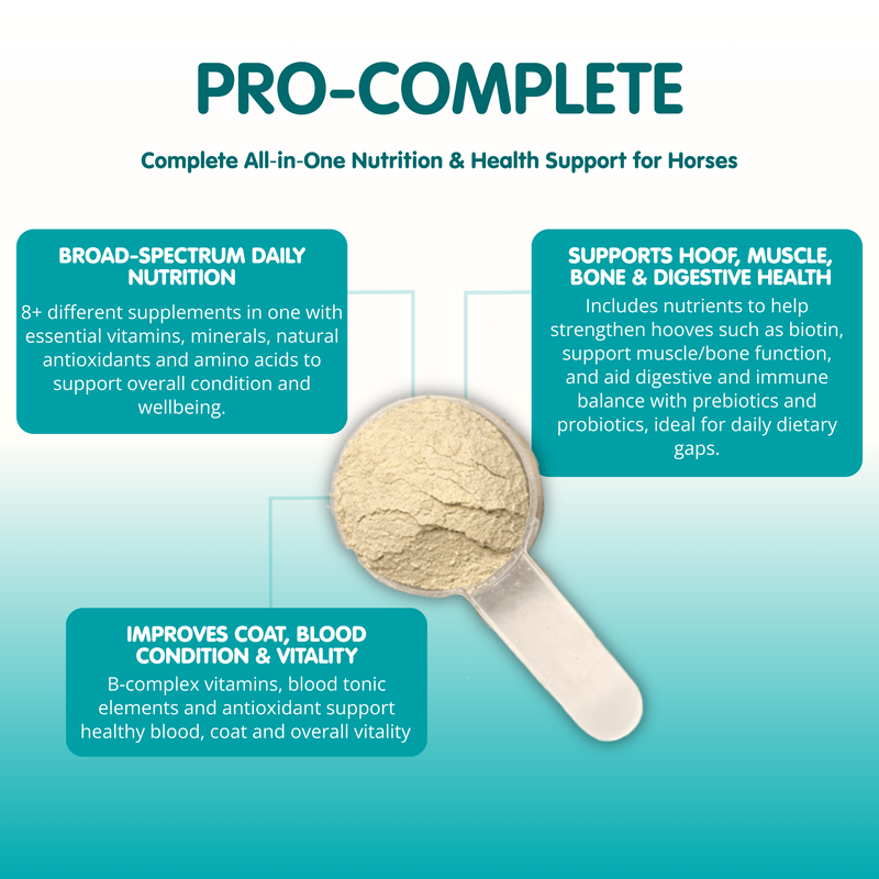 Pro-Complete | Ultimate Equine All in One Supplement