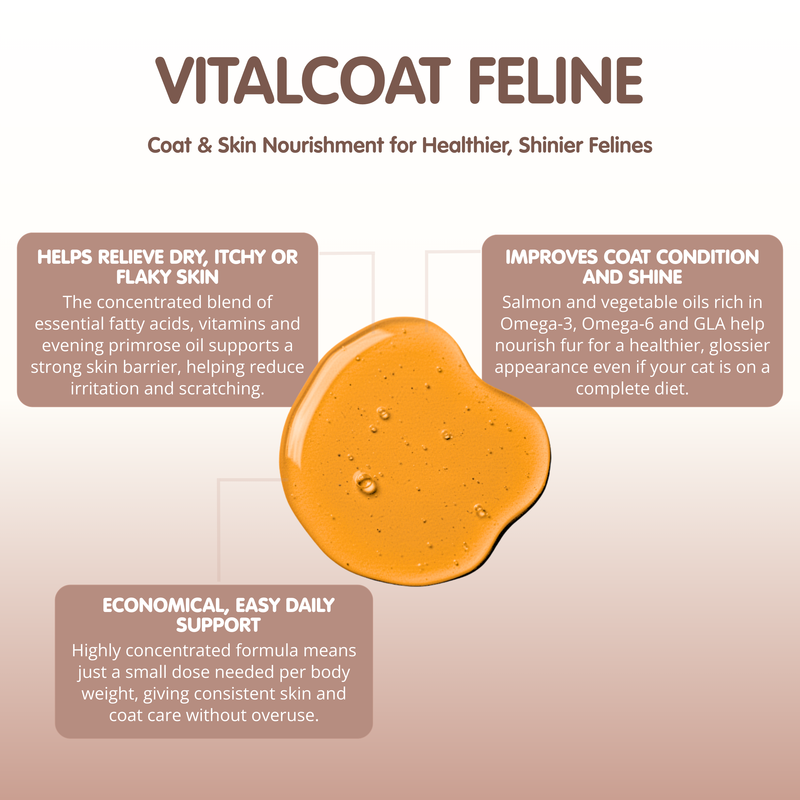 VITALCOAT Cat Coat and Skin Supplement Conditioner