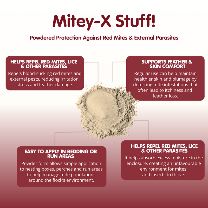 Mitey-X Stuff! Red Mite Powder for Chickens