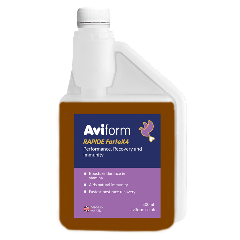 RAPIDE ForteX4 Stamina, Endurance, Recovery and Immunity Supplement for Racing Pigeons