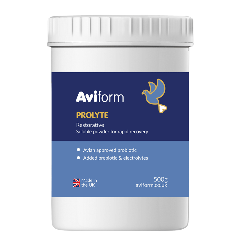 PROLYTE Probiotic Post Race Restorative Supplement for Racing Pigeons