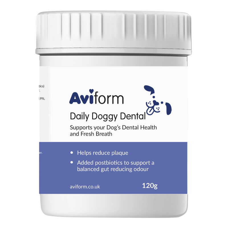 Daily Doggy Dental | Canine Oral Care