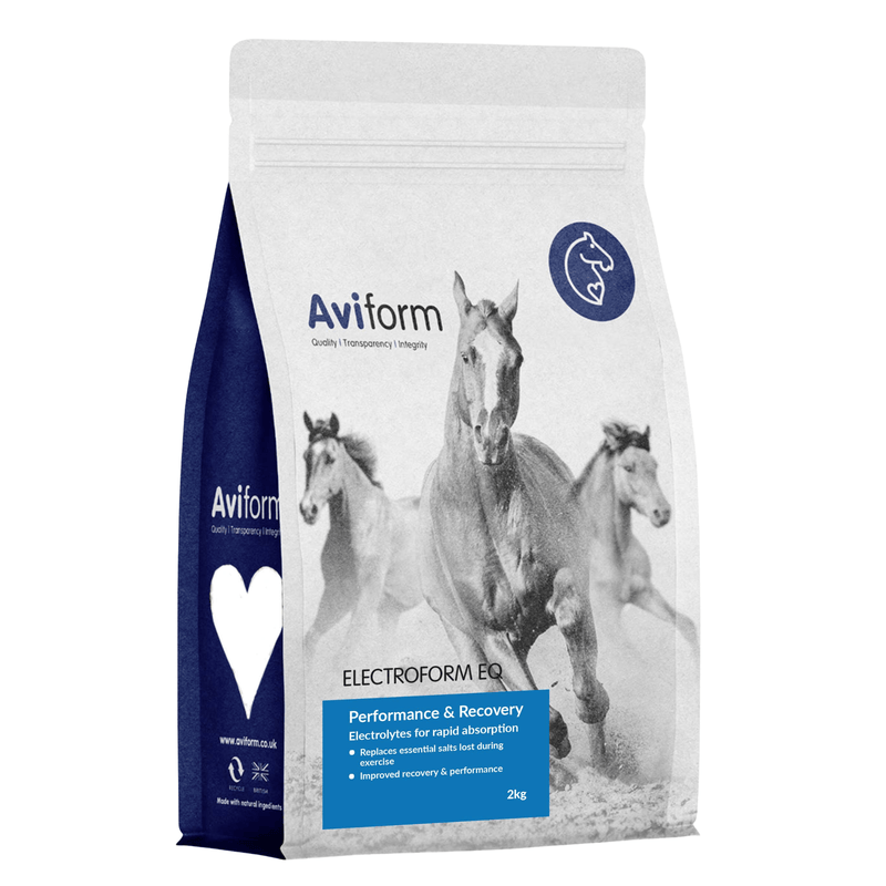 Electroform EQ | Equine Electrolytes