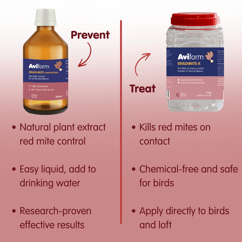Eradi-Mite Bundle - Red Mite Prevention & Cure for Racing Pigeons