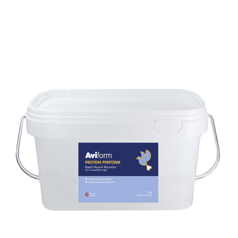 PROTEIN PERFORM Protein for Racing Pigeons