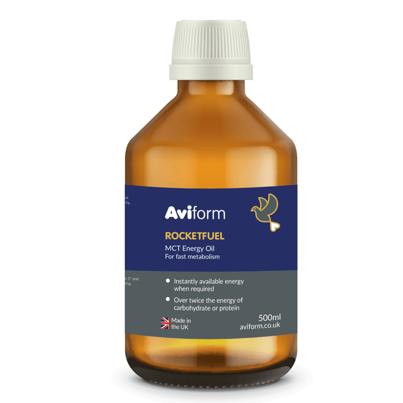 ROCKETFUEL MCT Energy Oil for Racing Pigeons