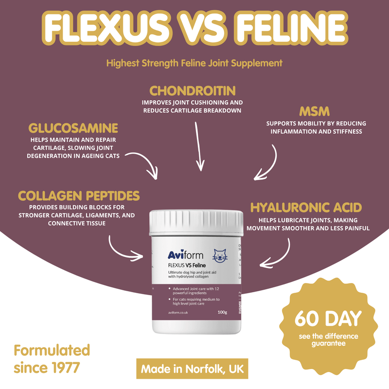FLEXUS VS Feline Ultimate Cat Hip and Joint Supplement