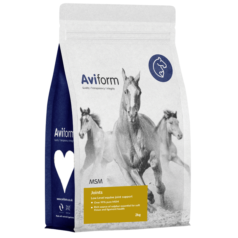 MSM | Pure Joint Care Supplement for Horses