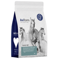 Build Up | Equine Muscle Builder