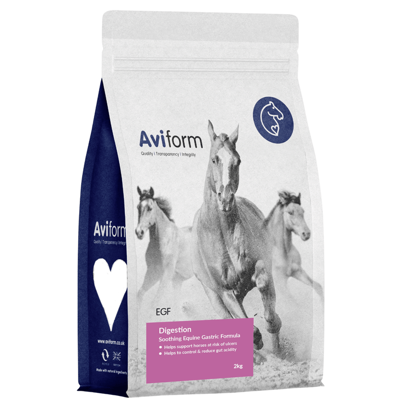 EGF | Equine Gastric Formula