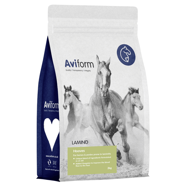 Lamino | For Horses