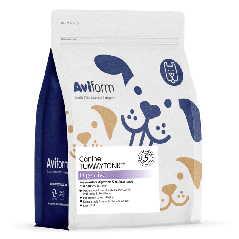 Tummytonic® | New Formula Penta-biotic® Digestive Supplement for Dogs