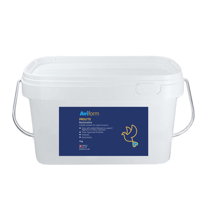 PROLYTE Probiotic Post Race Restorative Supplement for Racing Pigeons