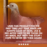 Eradi-Mite Bundle - Red Mite Prevention & Cure for Racing Pigeons