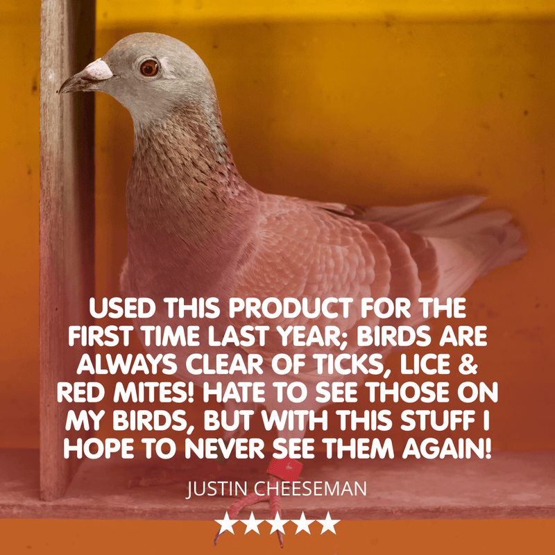 Eradi-Mite Bundle - Red Mite Prevention & Cure for Racing Pigeons