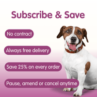 Allergy & Itch Bundle for Dogs | Medium